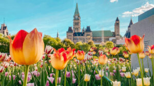 Ottawa Festival de los Tulipanes