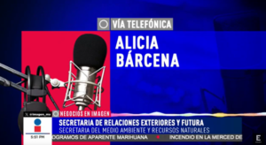 Alicia Barcena Negocios en Imagen